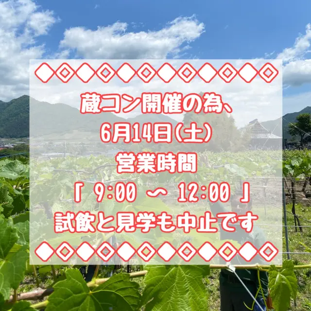 ◇ 蔵コン当日の売店営業のお知らせ ◇
宮沢和史さん出演の第34回蔵コン まで
あと2週間ほどになりました！
（チケットはSOLD OUT🙏🏻）

POSTの一枚目にありますが
蔵コン当日、6/14(土)の営業時間は
「9:00〜12:00」試飲・見学無し
販売のみとなりますのでご注意ください。

さてさて、蔵コンのお話。

当日は
ワインパーティー：13:00〜14:15
　　　コンサート：14:30〜15:40
となりますが

約200名をお迎えするということで
今回はパーティー会場を2つに分けました。

①本会場と②上の段（R棟前）
どちらでワインを飲むも良し。
お好きな場所でお過ごしください❗️

そしてパーティーで提供するワインは下記！（の予定）
‘24  赤・白
‘24 クレマン（泡）
‘23 甲州シュール・リー
⭐️‘12 シャルドネ バレルセレクト 
⭐️‘11 プティヴェルドー 
ぶどう、桃ジュース

⭐️オールドヴィンテージは上記2本🍷

とっても貴重な2本。
Mog bistroさんの軽食と共にお楽しみに❗️

蔵コンの様子は当日、
ストーリーズで発信予定です。

蔵コン参加の方もそうではい方もお楽しみに😊

#営業時間変更のお知らせ
#午後はパーティーだよ

#ルバイヤート#蔵コン#宮沢和史

#丸藤葡萄酒工業#丸藤葡萄酒#ワイナリー
#ワイン#日本ワイン#ワイン好きと繋がりたい
#山梨#山梨県#甲州市#勝沼

#rubaiyat#marufuji#marufujiwinery
#yamanashi#koshu#katsunuma